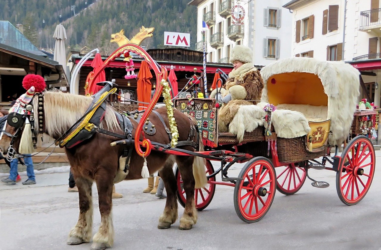 découvrez des balades en calèche inoubliables à travers des paysages pittoresques. profitez d'une expérience relaxante et romantique, parfaite pour les couples et les familles. réservez votre trajet et laissez-vous transporter par la magie des chevaux.