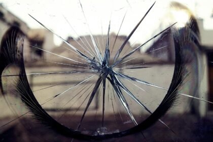 découvrez les principes de l'économie circulaire, une approche innovante visant à réduire le gaspillage, à optimiser l'utilisation des ressources et à favoriser la durabilité. adoptez des pratiques respectueuses de l'environnement pour un avenir plus responsable.