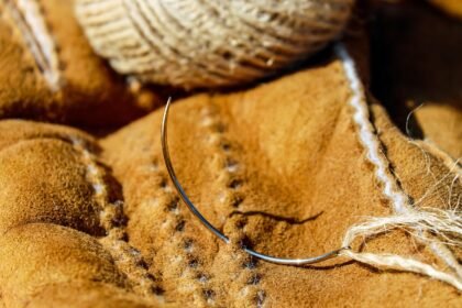 découvrez l'économie circulaire, un modèle durable qui favorise la réutilisation, le recyclage et la réduction des déchets. apprenez comment cette approche innovante transforme les entreprises et contribue à la préservation de notre planète.