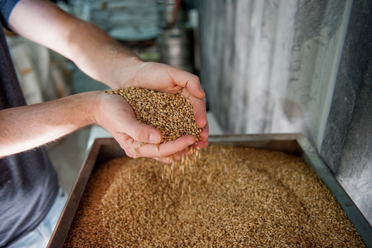 découvrez l'univers des brasseries artisanales : des bières uniques, des saveurs authentiques et des méthodes de brassage traditionnelles. plongez dans l'art de la bière avec nos sélections de brasseries locales et apprenez-en davantage sur cette passionnante culture brassicole.