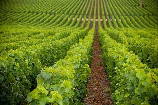 explorez les merveilles de la région auvergne-rhône-alpes, entre paysages époustouflants, richesses culturelles et activités en plein air. embarquez pour une aventure inoubliable dans cette destination qui allie nature et patrimoine.