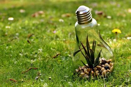 découvrez l'importance de la responsabilité numérique dans notre monde connecté. apprenez comment adopter des pratiques éthiques sur internet, promouvoir la sécurité en ligne et contribuer à un environnement numérique plus sûr et respectueux.