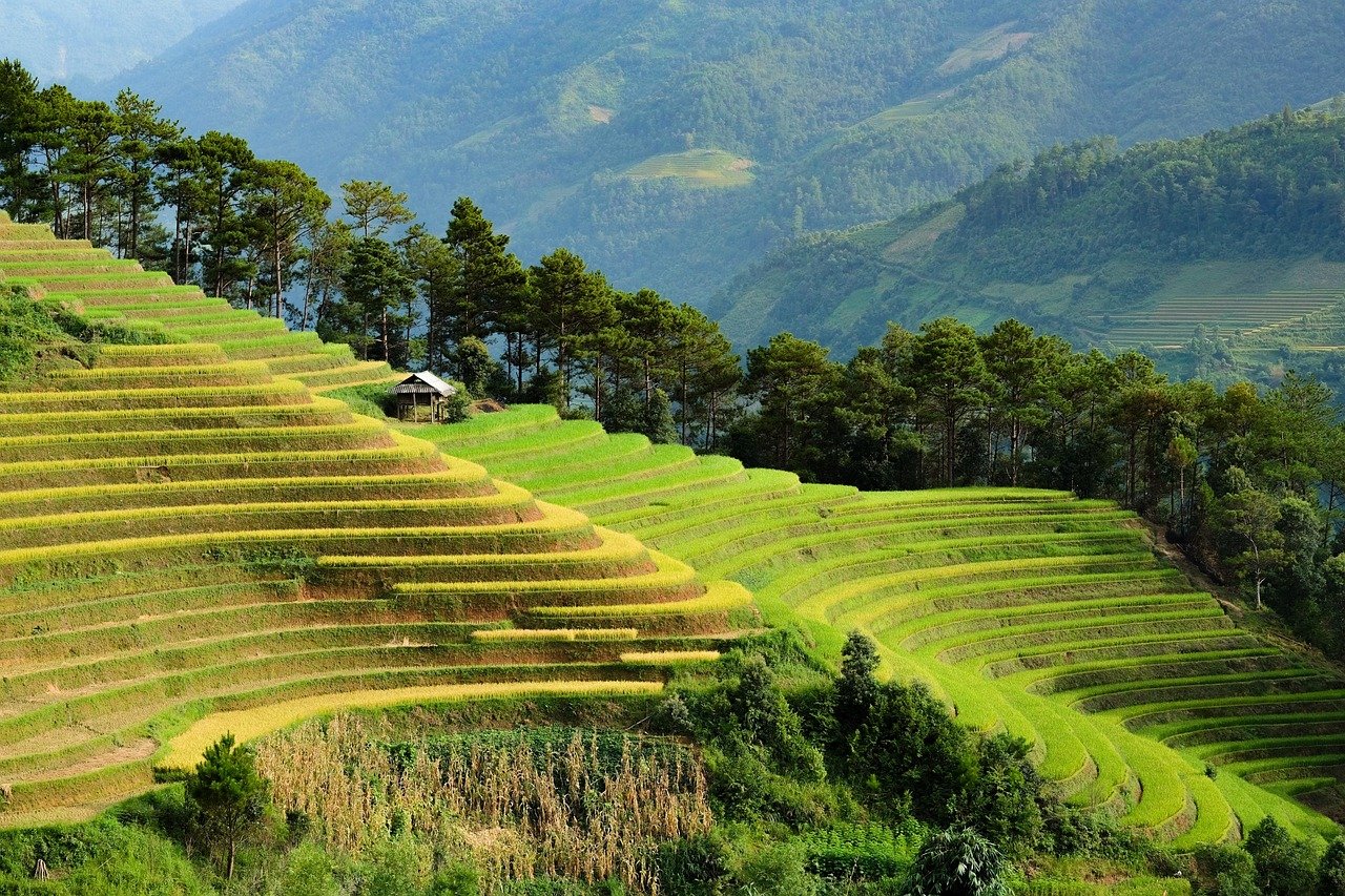 découvrez l'éco-tourisme, une forme de voyage durable qui préserve l'environnement et valorise les cultures locales. explorez des destinations authentiques tout en minimisant votre impact écologique. engagez-vous pour un tourisme responsable qui enrichit vos expériences et respecte la planète.