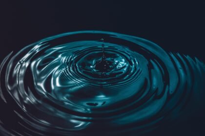 découvrez comment l'impact émotionnel influence notre quotidien, nos décisions et nos relations. plongez dans l'univers des émotions et apprenez à les comprendre et à les gérer pour améliorer votre bien-être.