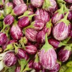 découvrez l'authenticité et la fraîcheur des marchés de producteurs : des fruits et légumes locaux, des produits artisanaux et une ambiance conviviale pour une expérience de shopping unique et responsable.