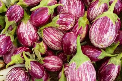 découvrez l'authenticité et la fraîcheur des marchés de producteurs : des fruits et légumes locaux, des produits artisanaux et une ambiance conviviale pour une expérience de shopping unique et responsable.