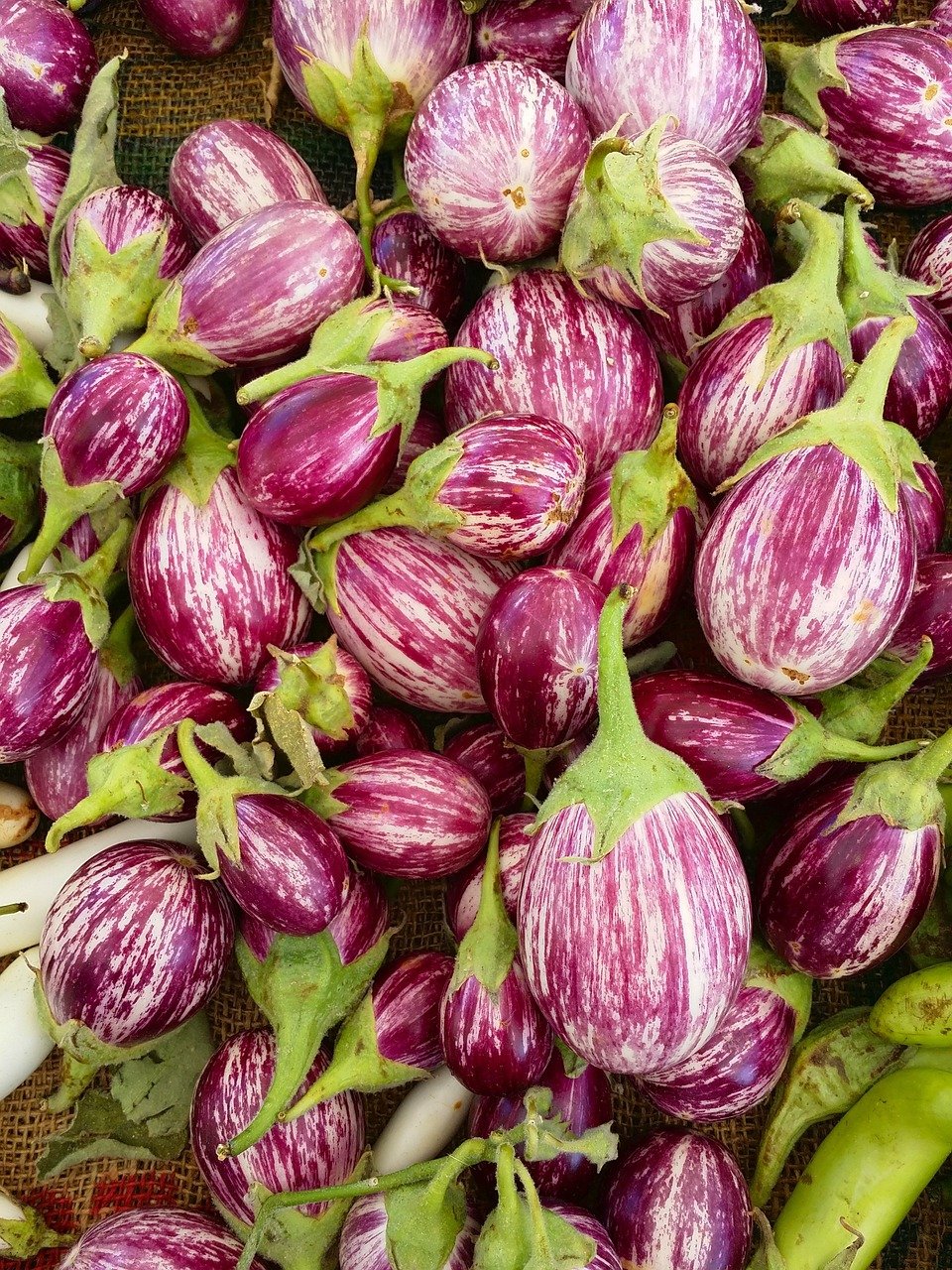 découvrez l'authenticité et la fraîcheur des marchés de producteurs : des fruits et légumes locaux, des produits artisanaux et une ambiance conviviale pour une expérience de shopping unique et responsable.