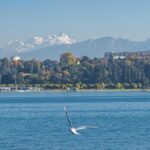 découvrez genève, la perle de la suisse, où culture, nature et innovation se rencontrent. explorez ses sites emblématiques, ses rives idylliques du lac léman et sa riche gastronomie. plongez dans l'atmosphère cosmopolite de cette ville internationale.