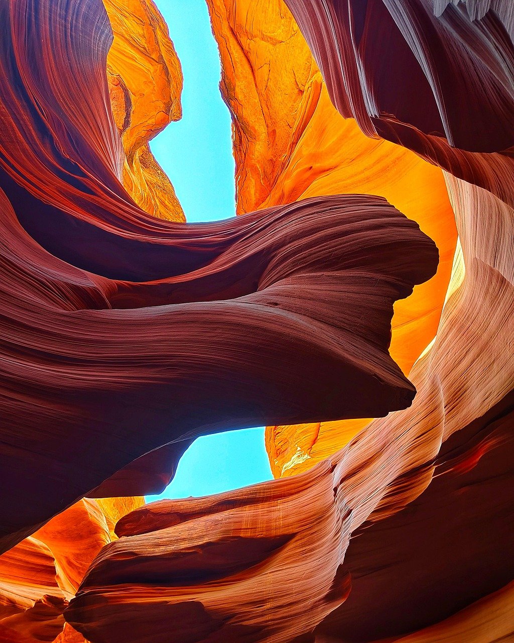 découvrez le fascinant monde de la géologie, l'étude des roches, des minéraux et des processus qui façonnent la terre. explorez les différentes disciplines, des séismes aux éruptions volcaniques, et comprenez comment la géologie influence notre environnement et notre avenir.