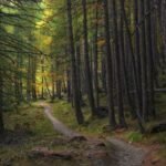 découvrez le glisy trail, un parcours de randonnée captivant qui vous emmène à travers des paysages pittoresques et des sentiers bien entretenus. parfait pour les amoureux de la nature et les aventuriers, ce trail offre une expérience inoubliable alliant détente et découverte.