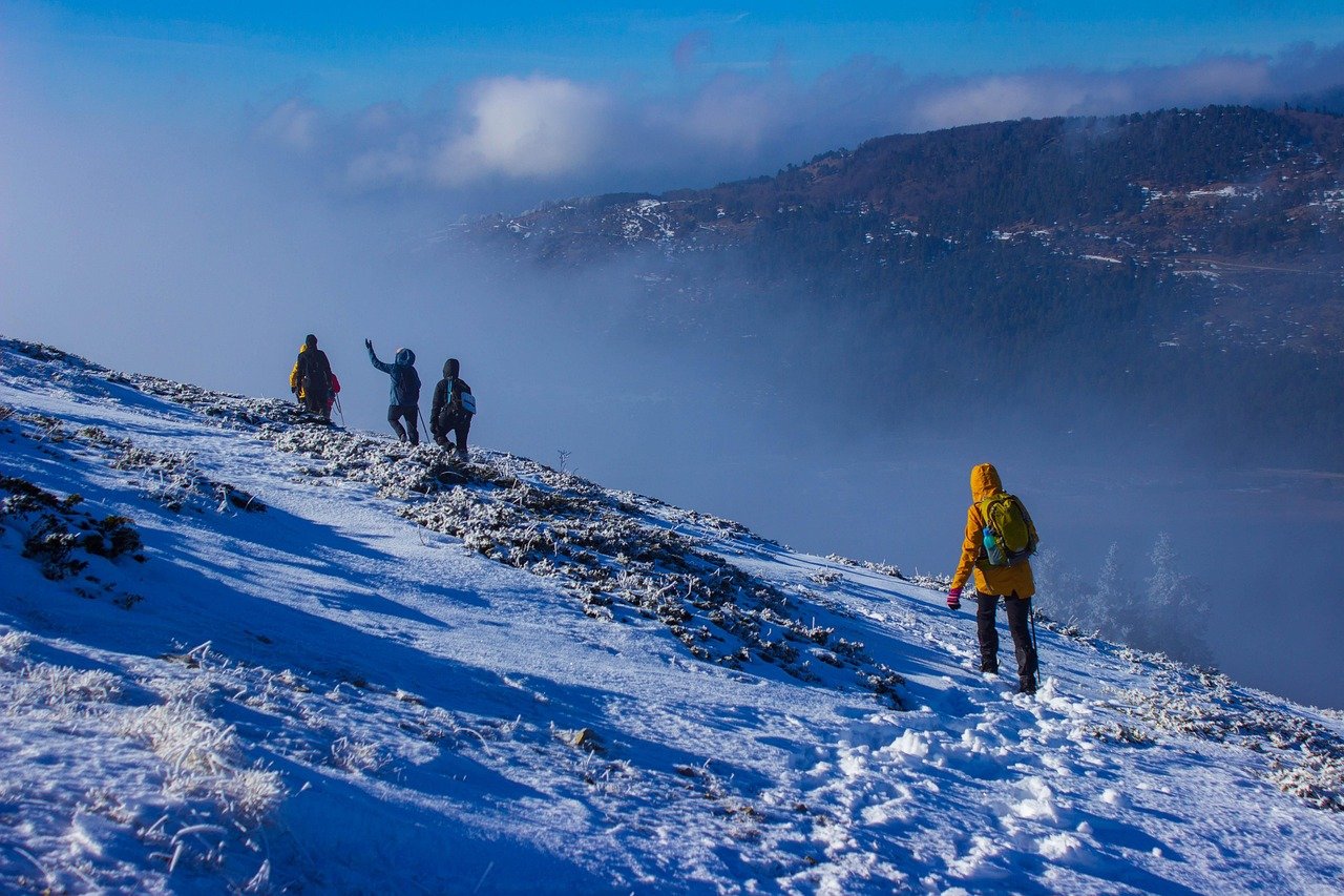 découvrez les merveilles de la nature à travers des randonnées captivantes. que vous soyez débutant ou randonneur expérimenté, explorez des sentiers pittoresques, respirez l'air frais et vivez des aventures inoubliables en pleine montagne.