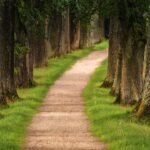 découvrez le plaisir de la randonnée à travers des paysages à couper le souffle, que vous soyez un randonneur débutant ou un expert. explorez des sentiers, profitez de la nature, et ressentez l'aventure à chaque pas.