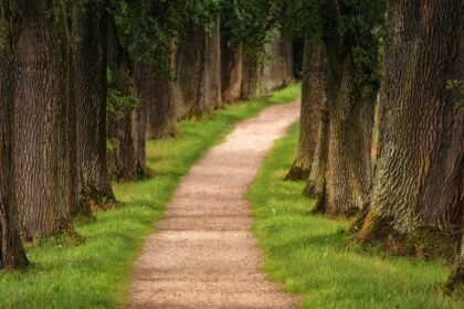 découvrez le plaisir de la randonnée à travers des paysages à couper le souffle, que vous soyez un randonneur débutant ou un expert. explorez des sentiers, profitez de la nature, et ressentez l'aventure à chaque pas.