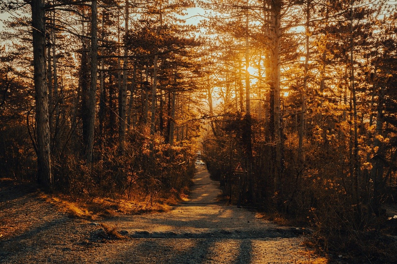 découvrez les plus beaux sentiers de randonnée et plongez dans la nature. profitez de paysages à couper le souffle et d'aventures inoubliables lors de vos sorties en plein air. rejoignez-nous pour explorer les merveilles de la randonnée !