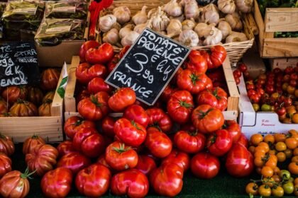 découvrez comment optimiser votre visibilité locale en ligne avec le seo local. attirez plus de clients dans votre région grâce à des techniques efficaces adaptées aux moteurs de recherche. améliorez votre classement et augmentez votre trafic local aujourd'hui !