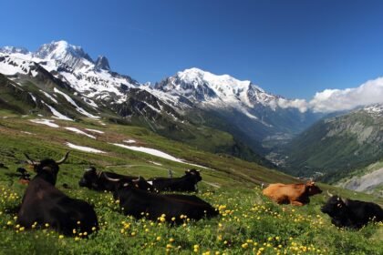 découvrez le mont blanc, le sommet culminant des alpes, réputé pour ses paysages à couper le souffle, ses défis d'escalade emblématiques et ses stations de ski prisées. plongez dans l'aventure alpine et explorez la beauté naturelle de ce véritable joyau de la montagne.