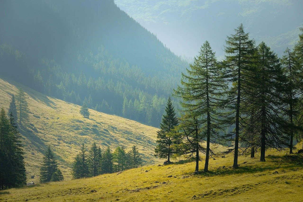 découvrez l'enchantement des randonnées nocturnes, où la nature se révèle sous un nouveau jour. partez à l'aventure sous les étoiles et vivez des expériences uniques à travers des paysages paisibles et mystérieux. embarquez pour des escapades inoubliables, mêlant exploration et sérénité.
