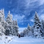 découvrez l'excitation du ski hors-piste : une aventure unique au cœur des montagnes, avec des pistes vierges, des paysages à couper le souffle et des sensations fortes. parfait pour les amateurs de sensations fortes et les passionnés de nature.