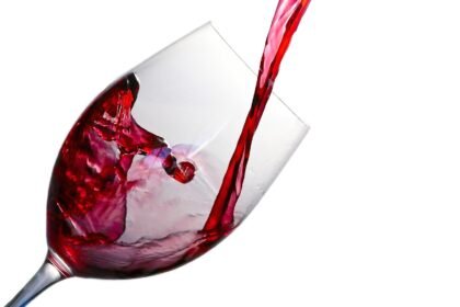 découvrez notre sélection de vins bio, élaborés avec soin à partir de raisins issus de l'agriculture biologique. savourez des arômes authentiques et un goût pur, tout en respectant l'environnement. idéal pour les amateurs de vin soucieux de leur santé et de la planète.