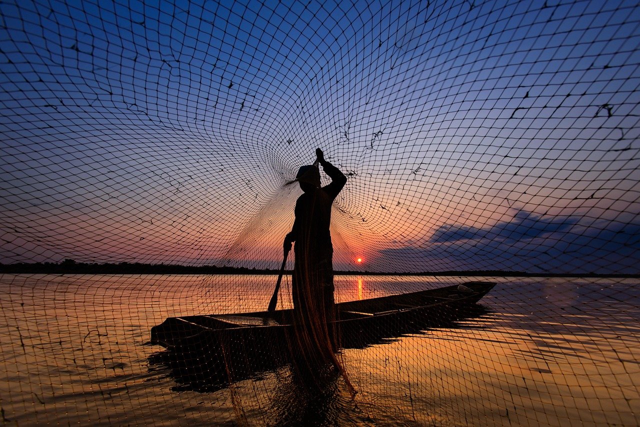 découvrez le paddle, l'activité aquatique qui allie détente et sport. apprenez à pagayer sur des eaux calmes ou déchaînées, tout en profitant de la nature et en renforçant votre corps. rejoignez la tendance du paddle et vivez des moments inoubliables sur l'eau.