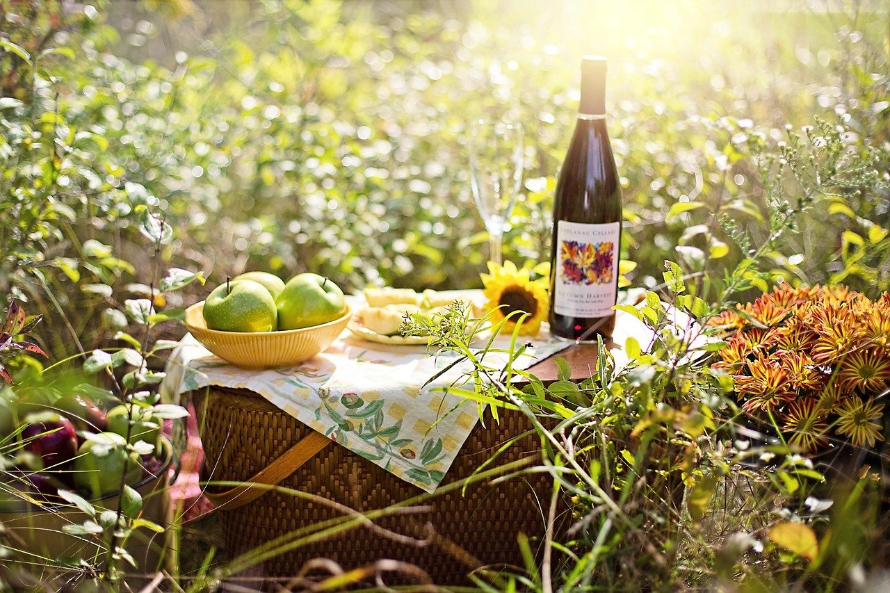 découvrez l'art du picnic avec nos conseils pratiques, recettes délicieuses et astuces pour profiter pleinement de vos repas en plein air. transformez vos journées en nature en moments inoubliables!