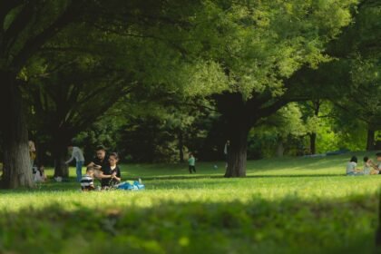 découvrez l'art du pique-nique parfait : idées recettes, conseils d'organisation et destinations idéales pour savourer des moments de convivialité en pleine nature.