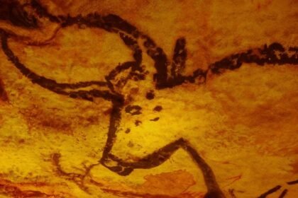 découvrez l'univers fascinant des musées de la préhistoire, où l'histoire des premiers humains prend vie à travers des expositions captivantes, des artefacts anciens et des reconstitutions réalistes. plongez dans l'évolution de notre espèce et explorez l'héritage culturel des temps préhistoriques.