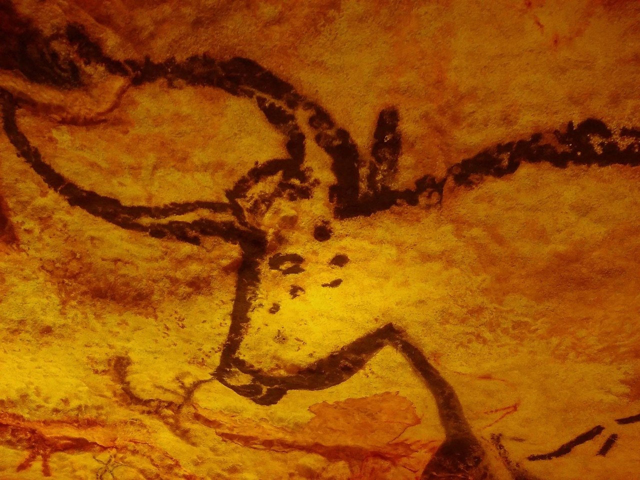 découvrez l'univers fascinant des musées de la préhistoire, où l'histoire des premiers humains prend vie à travers des expositions captivantes, des artefacts anciens et des reconstitutions réalistes. plongez dans l'évolution de notre espèce et explorez l'héritage culturel des temps préhistoriques.