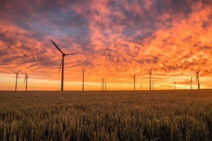 découvrez les startups innovantes dans le domaine des énergies renouvelables, qui transforment notre manière de produire et de consommer de l'énergie tout en contribuant à un avenir durable.
