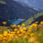 découvrez la savoie, un véritable paradis alpin où montagnes majestueuses, lacs cristallins et traditions savoureuses se rencontrent. explorez ses paysages à couper le souffle, ses activités de plein air, et savourez la gastronomie locale au cœur des alpes françaises.