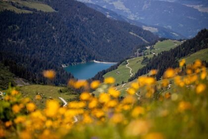 découvrez la savoie, un véritable paradis alpin où montagnes majestueuses, lacs cristallins et traditions savoureuses se rencontrent. explorez ses paysages à couper le souffle, ses activités de plein air, et savourez la gastronomie locale au cœur des alpes françaises.