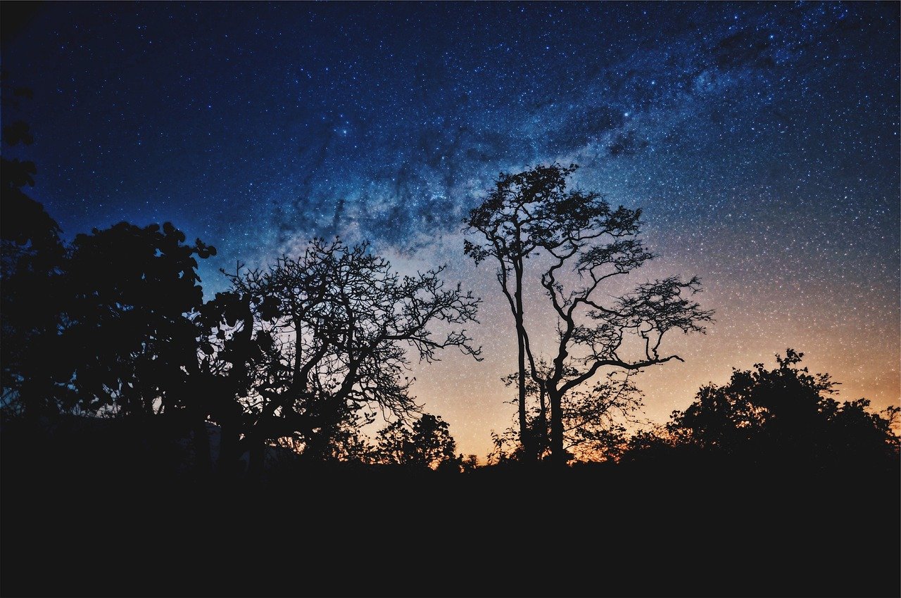 découvrez l'univers enchanteur du stargazing : une invitation à admirer les étoiles, à explorer les constellations et à vous émerveiller devant la beauté du ciel nocturne. plongez dans une expérience céleste inoubliable.