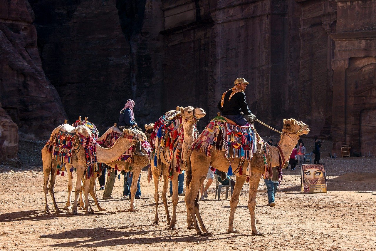 découvrez les merveilles du tourisme à travers le monde. explorez de nouvelles cultures, profitez de paysages époustouflants et vivez des expériences inoubliables. que vous soyez aventurier ou en quête de détente, le tourisme vous offre une multitude d'opportunités d'évasion.