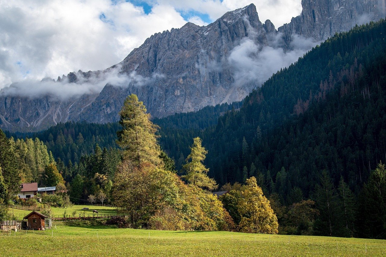 découvrez le tourisme sous toutes ses formes : des destinations exotiques aux escapades locales, explorez des cultures, des paysages et des activités enrichissantes pour des voyages inoubliables.