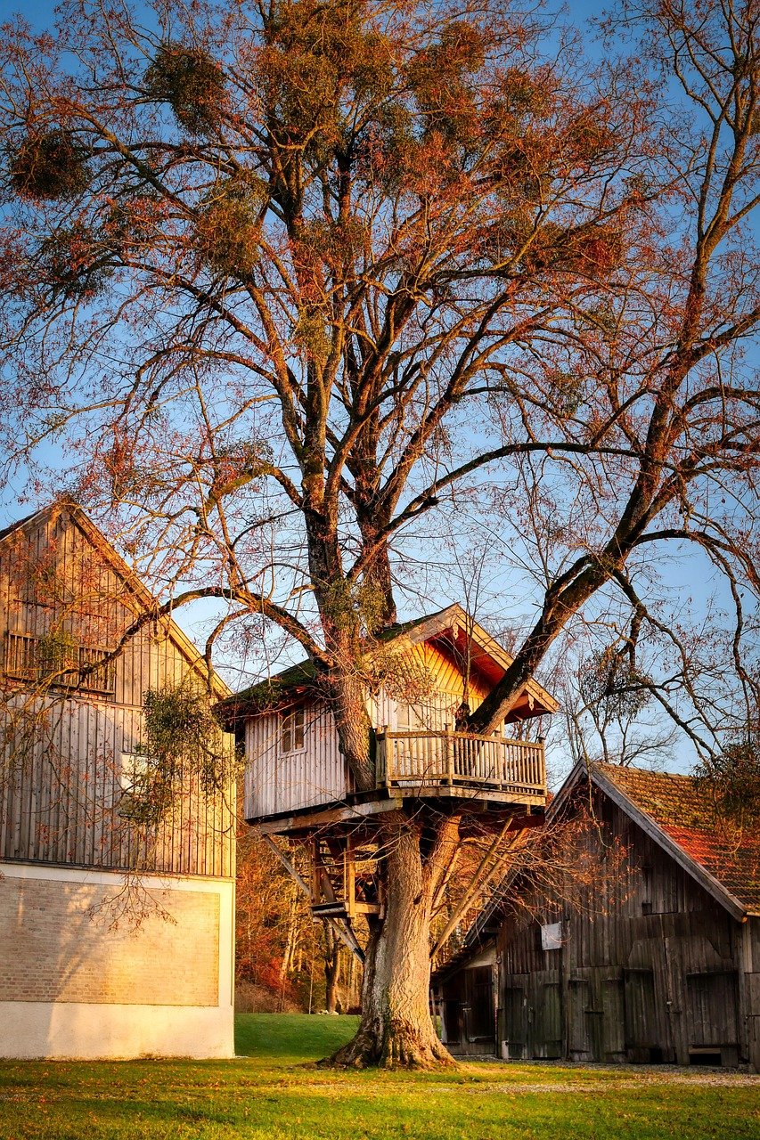 découvrez l'univers fascinant des maisons dans les arbres avec treehouse. plongez dans des expériences uniques de vacances au cœur de la nature, alliant confort et aventure, pour des moments inoubliables en famille ou entre amis.