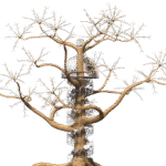 découvrez l'univers enchanteur des cabanes dans les arbres avec notre guide complet sur les treehouses. que ce soit pour un projet de construction, une escapade en pleine nature ou des idées créatives, explorez les meilleures conceptions et inspirations pour vivre une expérience unique en hauteur.