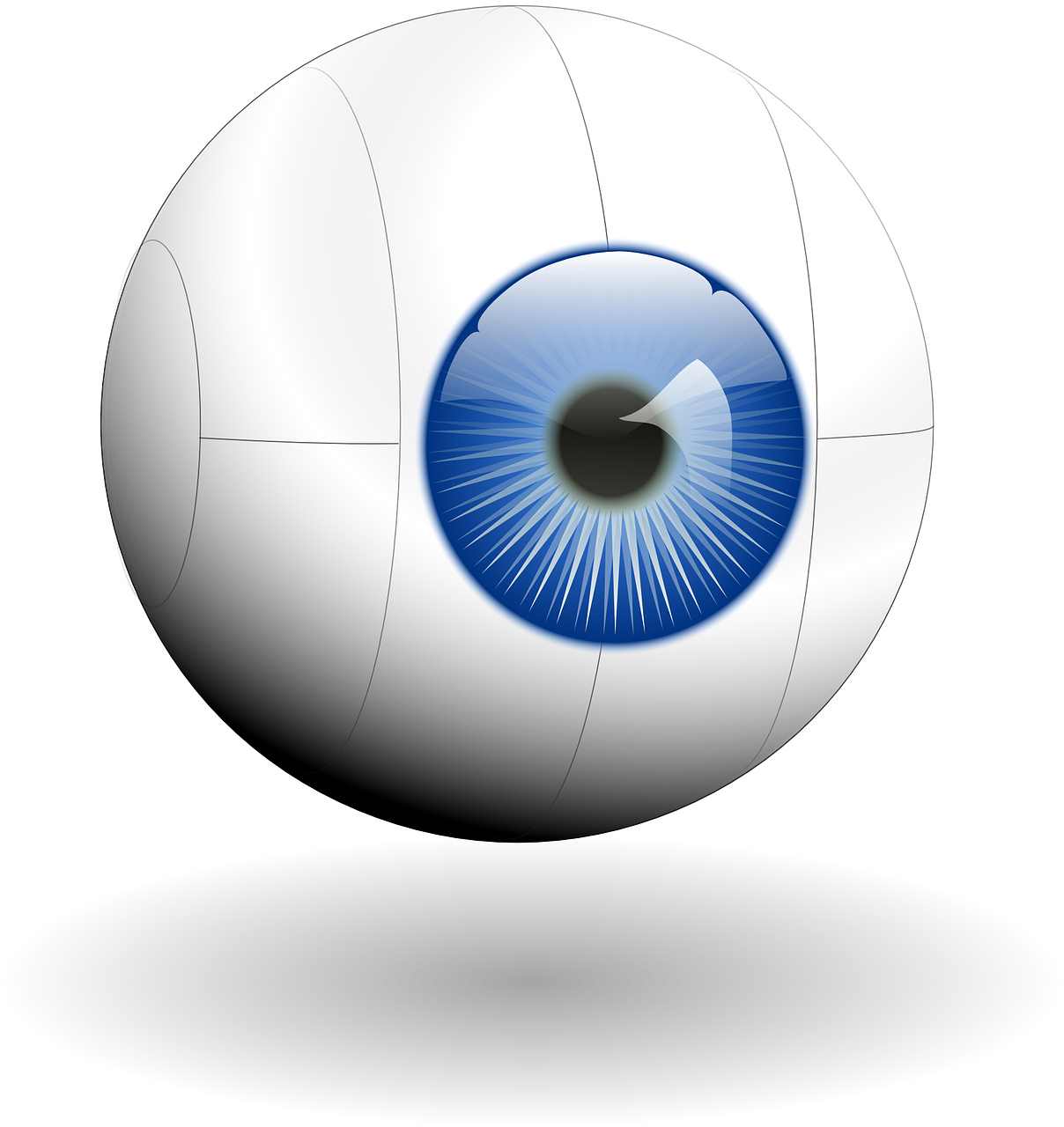 découvrez comment améliorer la visibilité de votre entreprise en ligne. apprenez des stratégies efficaces pour optimiser votre présence sur les moteurs de recherche et les réseaux sociaux afin d'attirer plus de clients.