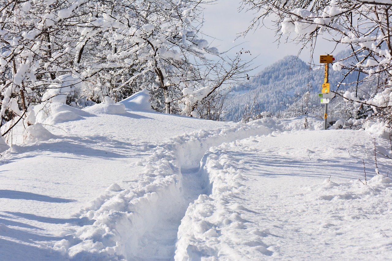 découvrez les paysages enchanteurs d'une randonnée hivernale. échappez-vous dans la nature, profitez de l'air frais et admirez les merveilles de l'hiver tout en restant actif. préparez-vous pour une aventure mémorable.