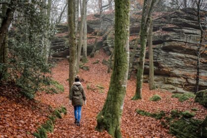 découvrez les meilleures expériences de randonnée d'hiver, profitez des paysages enneigés et des sentiers pittoresques tout en restant actif pendant la saison froide. préparez-vous pour des aventures inoubliables en pleine nature.