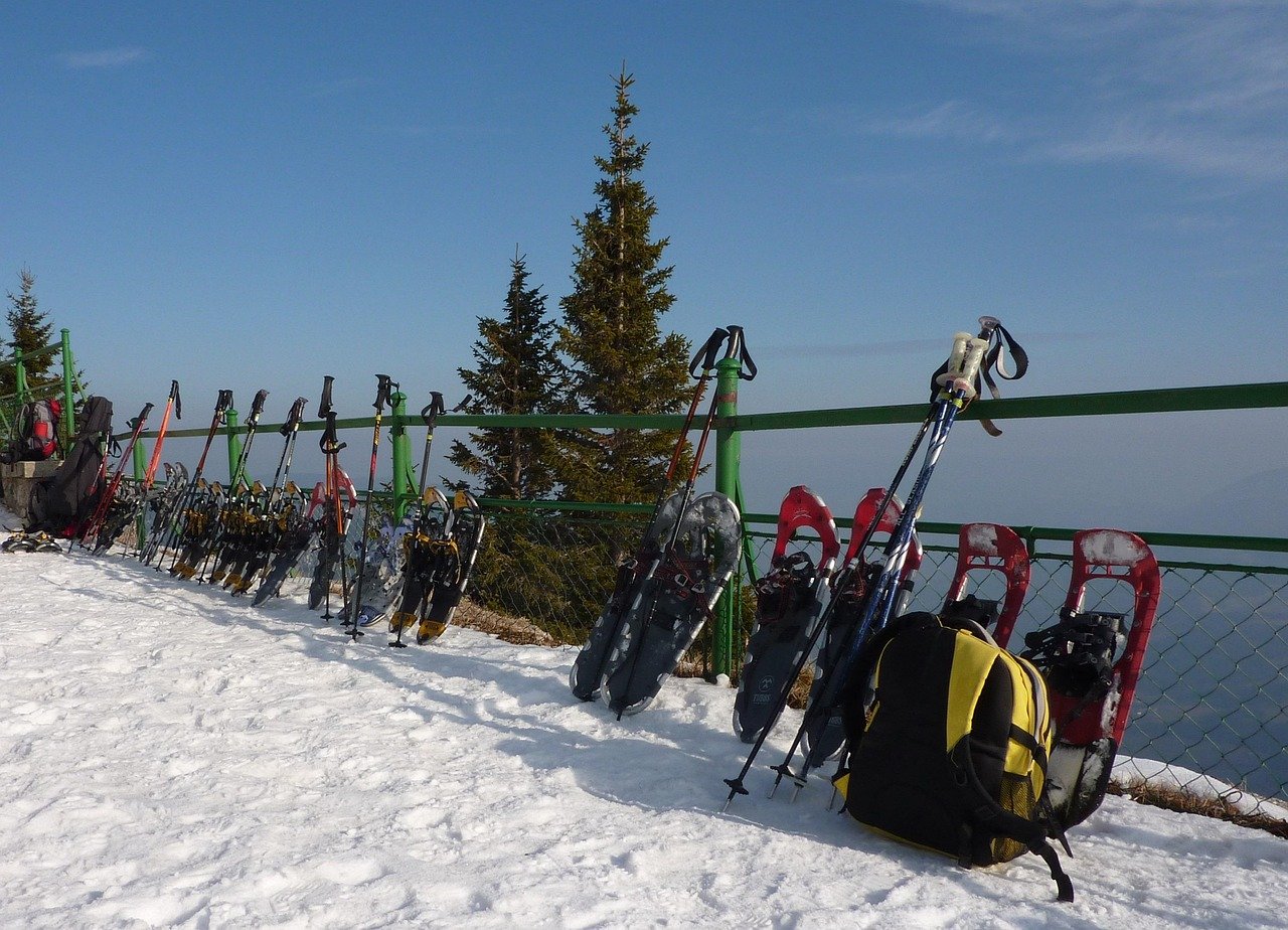 découvrez le plaisir de la raquette à neige : un sport d'hiver accessible à tous ! profitez des paysages enneigés, renforcez votre condition physique et vivez une expérience unique en pleine nature. que vous soyez débutant ou expert, partez à l'aventure sur les sentiers battus ou à travers la forêt pour des moments inoubliables.