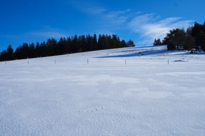 découvrez les merveilles du raquette à neige : une activité hivernale parfaite pour explorer les paysages enneigés. partez à l'aventure et profitez de la nature tout en pratiquant un sport accessible à tous.