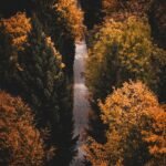 découvrez des randonnées accessibles en poussette qui allient nature et praticité. explorez des sentiers adaptés pour profiter de balades en famille sans renoncer au plaisir de la découverte.