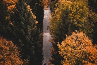 découvrez des randonnées accessibles en poussette qui allient nature et praticité. explorez des sentiers adaptés pour profiter de balades en famille sans renoncer au plaisir de la découverte.