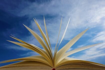 découvrez du contenu éducatif de qualité pour enrichir vos connaissances, développer de nouvelles compétences et réussir dans vos études ou votre carrière.