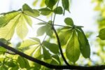découvrez nos conseils et stratégies pour booster la croissance de votre compte instagram. apprenez à augmenter votre audience, améliorer votre engagement et optimiser votre présence sur ce réseau social incontournable.
