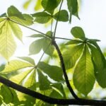 découvrez nos conseils et stratégies pour booster la croissance de votre compte instagram. apprenez à augmenter votre audience, améliorer votre engagement et optimiser votre présence sur ce réseau social incontournable.