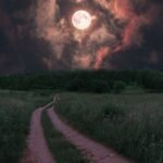 découvrez comment utiliser les instagram stories pour partager des moments éphémères, attirer votre audience et booster votre présence sur les réseaux sociaux avec nos astuces et conseils pratiques.