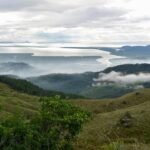 découvrez comment les campagnes de parrainage peuvent booster la croissance de votre entreprise. apprenez à mettre en place une stratégie efficace pour attirer et fidéliser de nouveaux clients grâce au bouche-à-oreille digital.